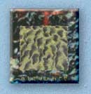 Til Abeyance utgivelsen